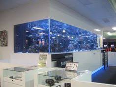 Aquarium Mega Tank